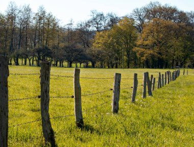 Meadow with wire fence. Electric fence on a meadow to keep animals safe. clipart