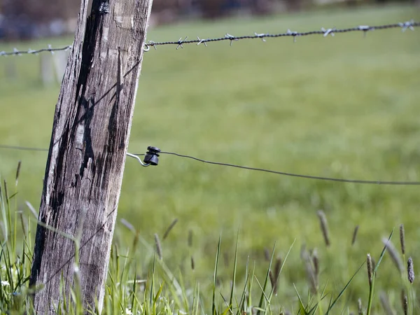 Close-up wire fence. Electric fence on a meadow to keep animals safe.