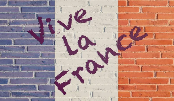 Vive France Cihlová Zeď Národních Barvách Francie Textem Vive France — Stock fotografie