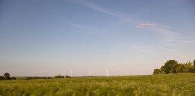 Rodheim, Wetterau, Hessen, Almanya Mai 2022: Buğday tarlasının üzerine bakın. Arka planda rüzgar türbinleri var. Daha az bulutlu mavi gökyüzü. 