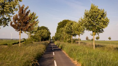 Rosbach, Wetterau, Hesse, Almanya, Haziran 2020: Yol ve tarla manzarası, mavi gökyüzü ve bazı bulutlar. Arka planda Forrest.