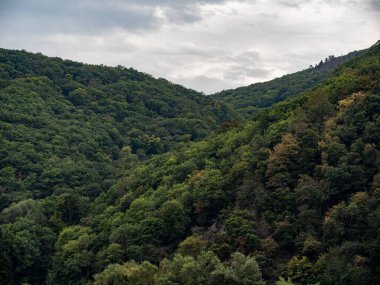 Rheingau, Hessen, Almanya Eylül 2021: Ren nehri üzerindeki yeşil ormanlı dağlara bakın. Güzel Rheingau bölgesi, turizm ve dalgalı şaraplarıyla bilinir..