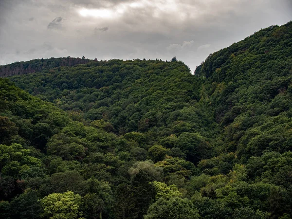 莱茵瑙 德国黑森2021年9月 俯瞰莱茵河上方绿林的群山 美丽的莱茵高地区 以旅游和葡萄酒而闻名 — 图库照片