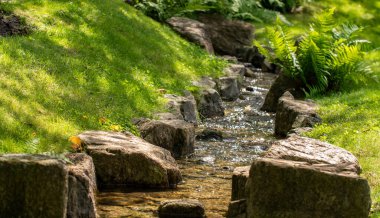 Yaz boyunca kayalarla gras arasındaki küçük dere. Açık hava, gündüz ve gün ışığı.
