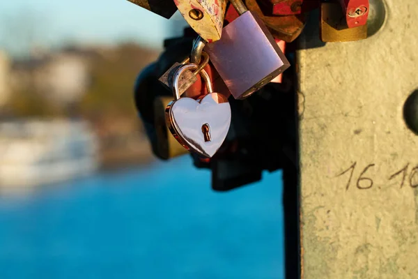 Мосту Висить Замки Рожевий Серцевий Блок Між Різними Заростями Мосту — стокове фото