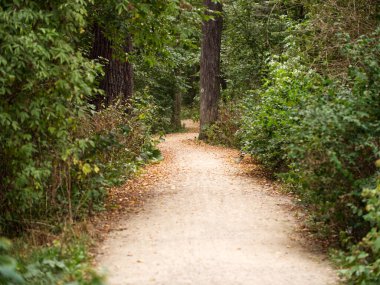 Yol kadın ve çayırlarla çevrili. İlkbaharda parkta ağaçlar ve çalılarla dolu katı kumlu bir patika. Açık hava aktiviteleri, eğlence ve spor.