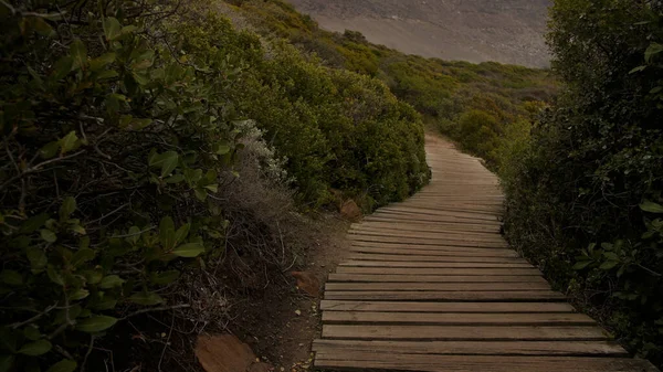 Wooden planks path between grass and bushes. Beautiful wooden Path, wooden Trail, wooden Track between bushes next to the Atlantic coast in South Africa