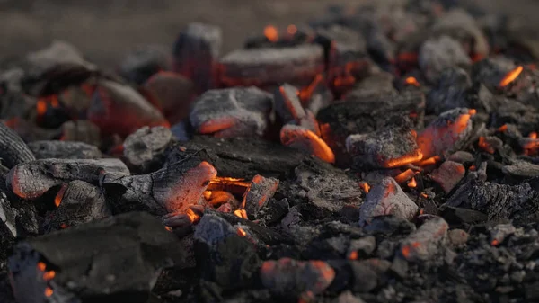 Uhlí Grilu Detailní Záběr Zářícího Dřevěného Uhlí Žhavých Uhlíků Teplo — Stock fotografie