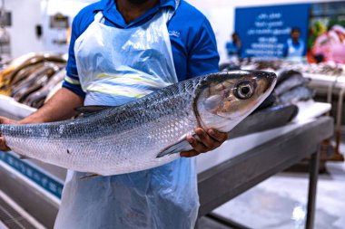 Dubai, Deira kıyısı balık pazarı, Nisan 2023: Perakendeciler pazardaki tezgahlarında taze balık sunuyorlar. Tüccar elinde büyük bir balık tutuyor. Arka planda buzda farklı balıklar var.. 