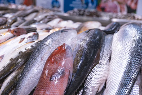 Єднані Арабські Емірати Дубай Дейра Риболовецький Ринок Квітень 2023 Роздрібні — стокове фото