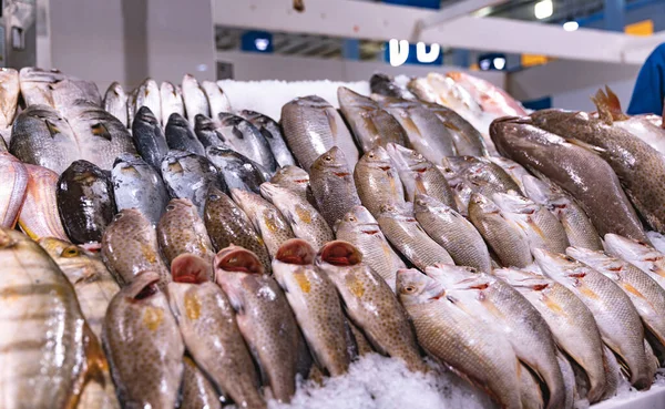 Verenigde Arabische Emiraten Dubai Vismarkt Deira April 2023 Retailers Bieden — Stockfoto