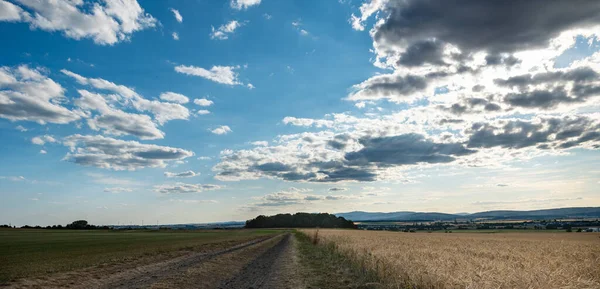 Almanya, Hessen, Wetterau - 07. Temmuz 2023: Tarım yolu sağında olgun buğday tarlası ve hasat zamanı. Bulutlu mavi gökyüzü. Ağaçlar, çalılar ve arkadaki Taunus tepeleri.. 