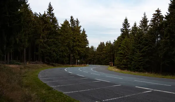 Strada Vuota Nella Foresta Conifere Parcheggi Sinistra — Foto Stock