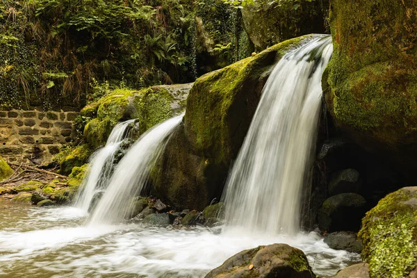 Mullerthal, Lüksemburg tepelerinde Schiessentempel şelalesi. Kara Ernz nehri vadiden akar. Yaz, yeşil yosun, orman.