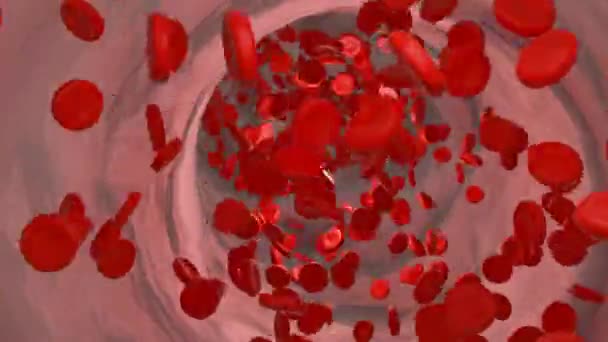 Клетки Крови Текут Вене Артерии Гемоглобин Корпус Кровоток Плазма Крови — стоковое видео