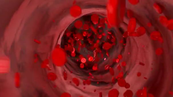 Bloedcellen Stromen Door Ader Hemoglobine Corpuscle Bloedbaan Bloedplasma Slagaders — Stockvideo