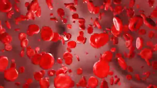 Blodceller Rinner Genom Venen Hemoglobin Corpuscle Bloodstream Blodplasma Artärer Hälsovård — Stockvideo