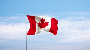 Bulutlu gökyüzüne karşı Kanada bayrağı. Kanada bayrağı rüzgarda sallanıyor, ulusal sembol. Ülke, ulus, birlik, bayrak, hükümet, Kanada kültürü, siyaset.