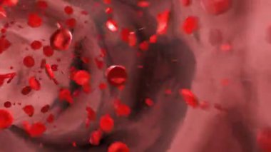 Atardamardan ya da damardan kan hücreleri akıyor. Hemoglobin, yuvarlak, kan dolaşımı, kan plazması, arterler, sağlık ve ilaç..