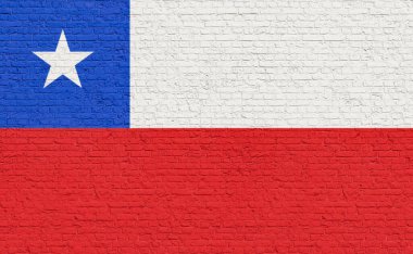 Tuğla bir duvarda Şili bayrağı renkleri var. Ulusal renkler, ülke, bayrak, hükümet, Şili kültürü, siyaset.