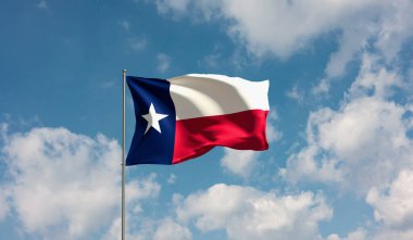 Flag Texas against cloudy sky. Country, nation, union, banner, government, Texian culture, politics. 3D illustration clipart