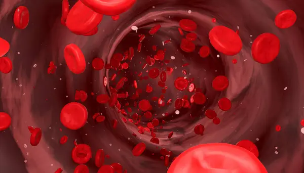 Blood cells flowing through the vein. Hemoglobin, corpuscle, bloodstream, artery, blood plasma. 3D illustration