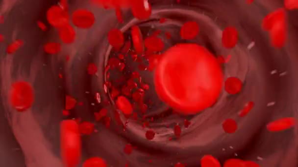 Células Sanguíneas Que Fluyen Por Vena Hemoglobina Corpúsculo Flujo Sanguíneo — Vídeo de stock