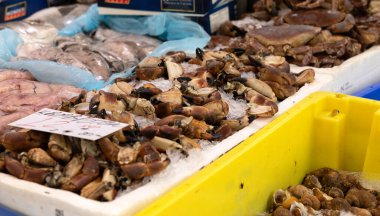 Hollanda Rotterdam 'daki haftalık pazarda sunulan beyaz kutuda taze yengeçler. Deniz ürünleri, sağlıklı, soğutulmuş ürünler, piyasa simsarı, yemek pişirme, kabuklular, market tezgahları.