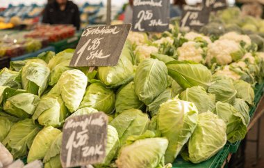 Rotterdam 'daki haftalık pazarda lahana satan bir market..