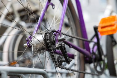 Rotterdam 'daki haftalık pazarda beyaz üzüm ve diğer meyveler sunuluyor. Sağlıklı yiyecek, olgun, hazır yemek, market tezgahı, tüccar, fiyat etiketi, yiyecek..