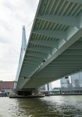 Aşağıdan Erasmus Köprüsü 'nün manzarası. Ağır çelik yapımı. Rotterdam, Hollanda 'ya seyahat..