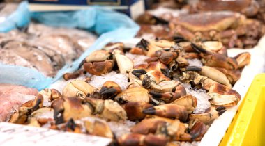 Rotterdam 'daki markette sunulan beyaz bir kutuda yengeçleri kapatın.. 