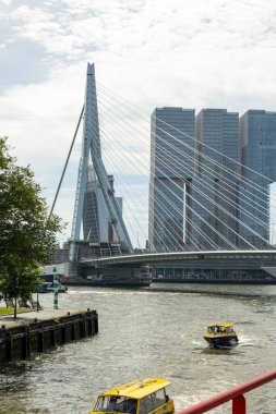 Rotterdam Hollanda - 9 Temmuz 2024: Erasmus Köprüsü ve 