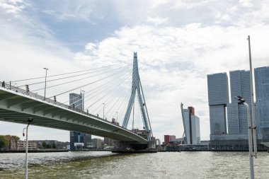 Rotterdam Hollanda - 9 Temmuz 2024: Erasmus Köprüsü ve De Rotterdam Binası.