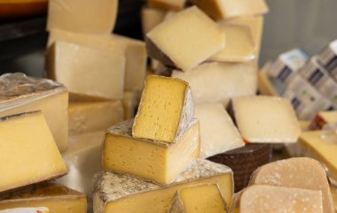 Markette satışta olan çeşitli peynir çeşitleri. Hollanda, Lahey 'deki Haagse Pazarı. Süt ürünleri, yemeye hazır..