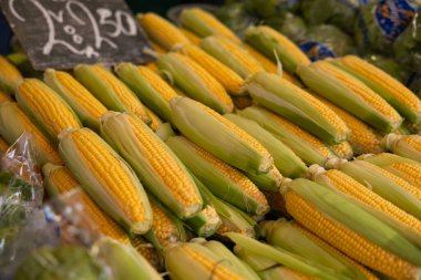 Hollanda, Lahey 'deki Haagse Market' te bir pazarda taze mısır. Çiğ yiyecek, sebze, hasat, ürün..