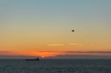 Martı ve bir nakliye gemisi Kuzey Denizi 'nde batan güneşin yakınında. Arka planda açık deniz rüzgâr çiftliği.