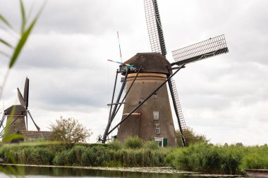 Hollanda 'nın Kinderdijk kentindeki tarihi yel değirmeni sazlığa yakın bir yerde. Yazın bulutlu bir gün. Ön planda Reed otları.