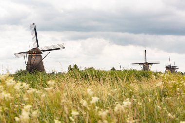 Yel değirmeninin alçak açılı görüntüsü, ön planda çayır. Hollanda 'da yaz boyunca Kinderdijk' te bulutlu bir gün.