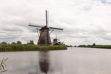 Nehirdeki tarihi yel değirmenleri grubu, sudaki yansıma. Hollanda 'daki Kinderdijk, bulutlu bir gün. Reed otları kıyıya vurur.