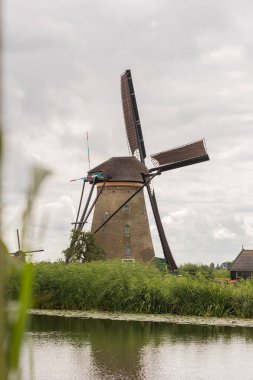 Hollanda 'daki yel değirmeni. Ön planda Reed otları var. Hollanda 'daki Kinderdijk, bulutlu bir gün, yaz.