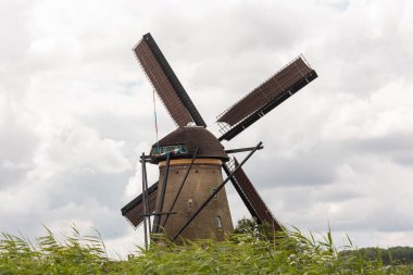 Arkadan yel değirmeni. Ön planda Reed otları var. Hollanda 'daki Kinderdijk, bulutlu bir gün, yaz.