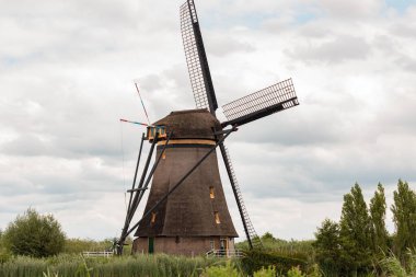 Hollanda 'daki yel değirmeni. Ön planda çalılar ve çimenler var. Hollanda 'daki Kinderdijk, bulutlu bir gün, yaz.