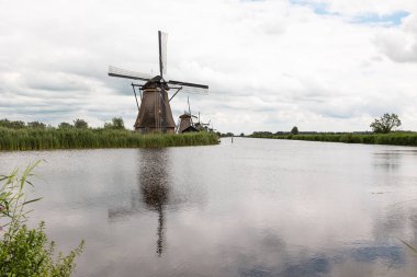 Yel değirmeni nehrin suyuna yansıdı. Hollanda 'daki Kinderdijk, bulutlu bir gün. Reed otları kıyıya vurur.