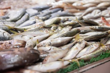 Günün avı, haftalık pazarda sunulan balıklar. Taze çiğ balık, soğuk. Hollanda, Lahey 'deki Haagse Pazarı.