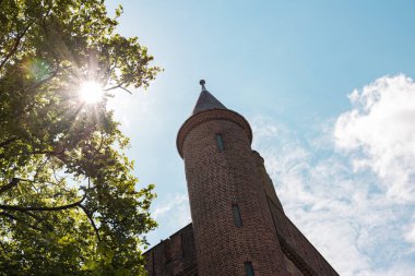 Hollanda, Lahey 'deki Binnenhof' ta tarihi bir kule. Brik Stone binası. Güneş bir ağacın dallarında parlıyor, mavi gökyüzünde.. 