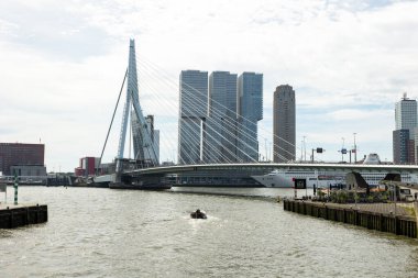 Rotterdam Hollanda - 9 Temmuz 2024: Rotterdam 'daki gemi terminalinin yanındaki Erasmus köprüsü ve 