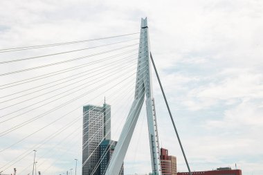 Rotterdam Hollanda - 9 Temmuz 2024: Erasmus Köprüsü 'nün bir kısmı. Çelik kablolarla destekleyici sütun. Gökyüzü bulutlarla dolu..