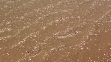 Boşluklarda akan sular, nehirler ve kumsaldaki kum çukurları. Kabuk ve kabuk kalır ve kumdaki küçük taşlar.