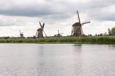 Hollanda, Kinderdijk 'te bulutlu bir günde tarihi rüzgar değirmenleri grubu. Reed otları kıyıya vurur.